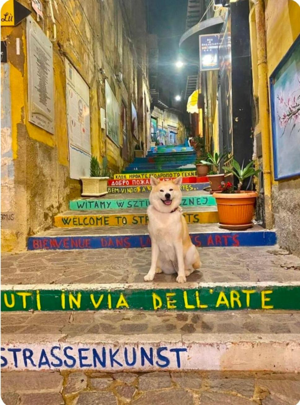 Apartmán La Porta Dei Venti Agrigento Exteriér fotografie